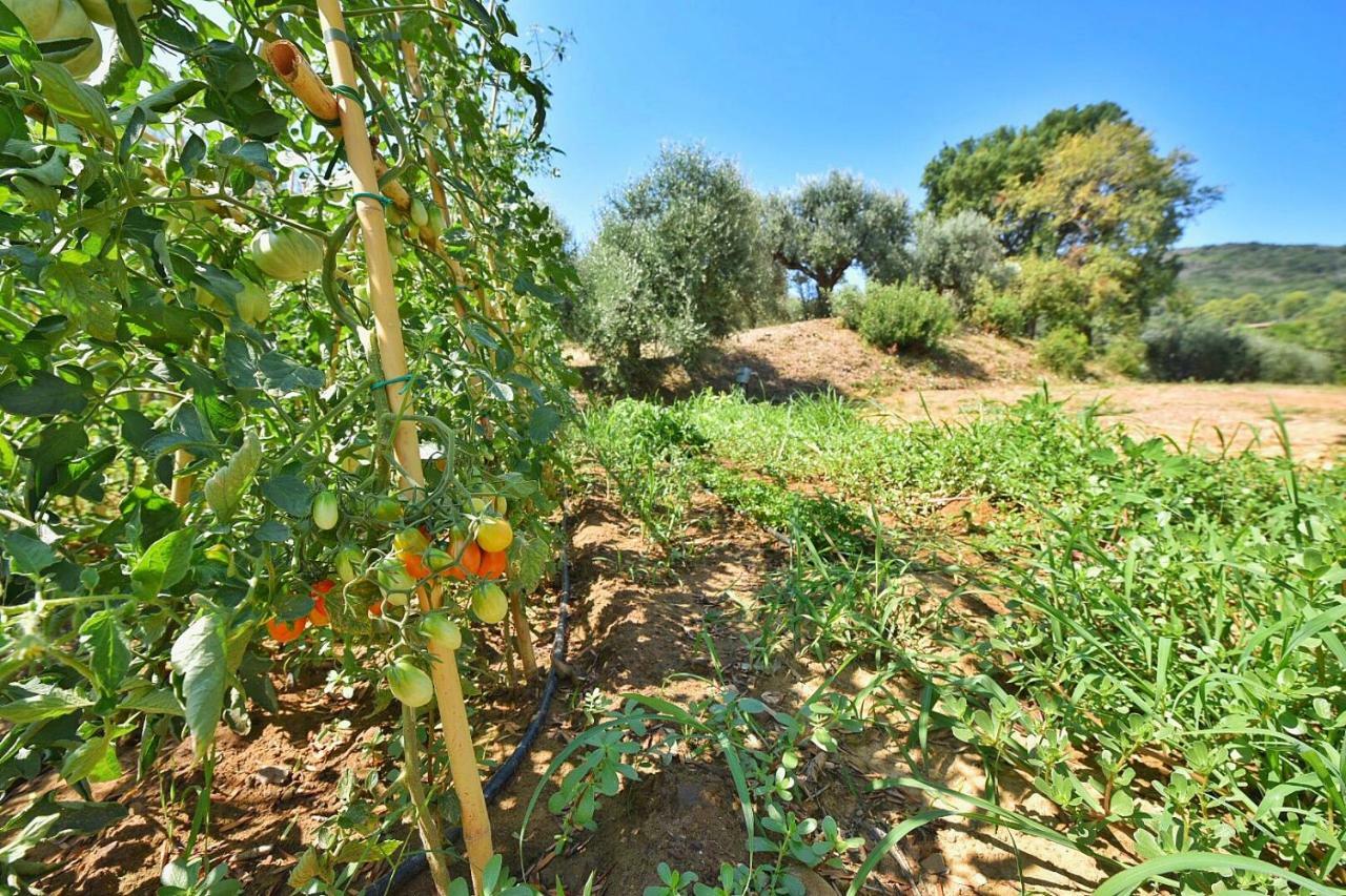 Il Molino Villa Porto Ercole  Luaran gambar