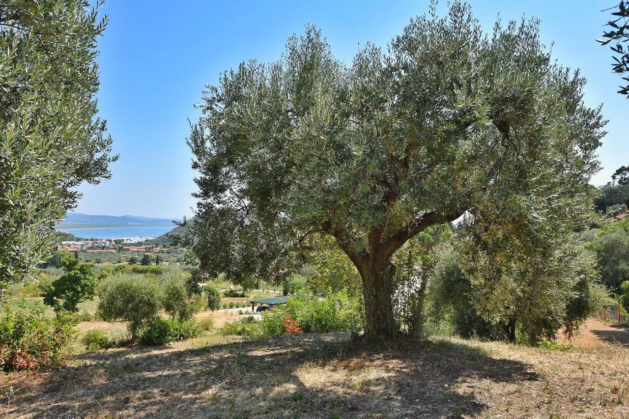 Il Molino Villa Porto Ercole  Luaran gambar